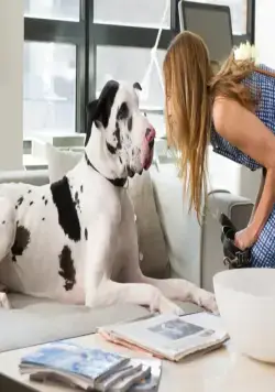 Другая женщина (2014) в хорошем качестве скачать торрент файл Другая женщина (2014) фильм в хорошем качестве скачать торрент файл