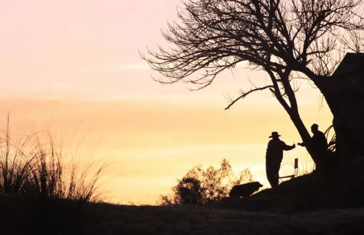 Да здравствуют антиподы! (2011) скачать торрент бесплатно Да здравствуют антиподы! (2011) фильм скачать торрент бесплатно