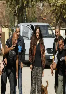 Ржавчина и кость (2012) в хорошем качестве скачать торрент файл Ржавчина и кость (2012) фильм в хорошем качестве скачать торрент файл