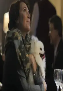 Продавец игрушек (2012) в хорошем качестве скачать торрент файл Продавец игрушек (2012) фильм в хорошем качестве скачать торрент файл