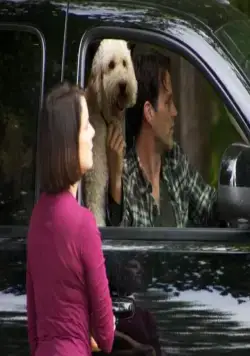 Пустошь (2011) скачать торрент файл Пустошь (2011) фильм скачать торрент файл