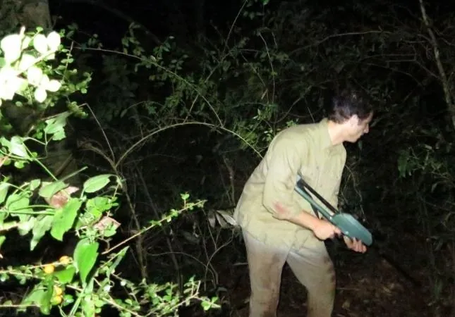 Джунгли (2013) скачать торрент бесплатно Джунгли (2013) фильм скачать торрент бесплатно