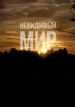 Невидимый мир / Mundo Invisível (2012) фильм скачать через торрет бесплатно в хорошем качестве