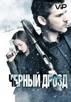 Черный дрозд / Deadfall (2012) фильм скачать через торрет бесплатно в хорошем качестве