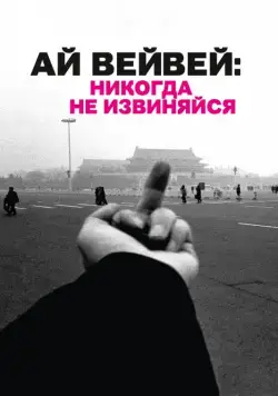Ай Вейвей: Никогда не извиняйся / Ai Weiwei: Never Sorry (2012) фильм скачать через торрет бесплатно в хорошем качестве