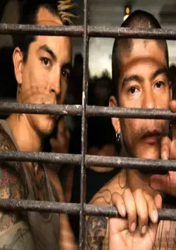 «Весёлые» каникулы (2012) скачать торрент файл «Весёлые» каникулы (2012) фильм скачать торрент файл