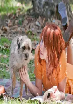 Руби Спаркс (2012) в хорошем качестве скачать торрент файл Руби Спаркс (2012) фильм в хорошем качестве скачать торрент файл