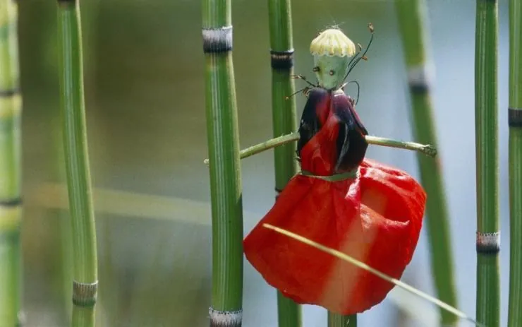 Сфера колдовства (2011) скачать торрент бесплатно Сфера колдовства (2011) фильм скачать торрент бесплатно