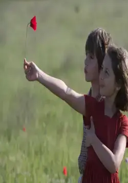 Сфера колдовства (2011) скачать торрент файл Сфера колдовства (2011) фильм скачать торрент файл