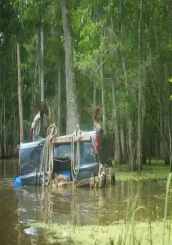 Звери дикого Юга (2012) скачать торрент бесплатно Звери дикого Юга (2012) фильм скачать торрент бесплатно
