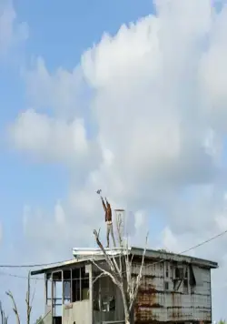 Звери дикого Юга (2012) в хорошем качестве скачать торрент файл Звери дикого Юга (2012) фильм в хорошем качестве скачать торрент файл