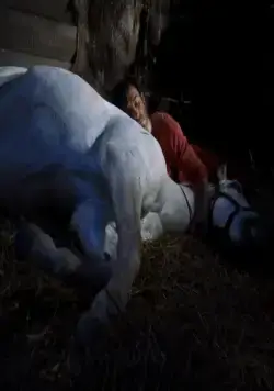 Неуловимый Люк (2009) скачать торрент файл Неуловимый Люк (2009) фильм скачать торрент файл