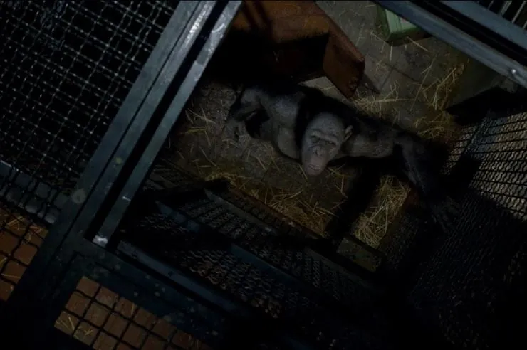 Восстание планеты обезьян (2011) скачать торрент файл Восстание планеты обезьян (2011) фильм скачать торрент файл