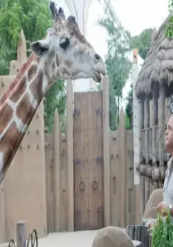 Мой парень из зоопарка (2011) в хорошем качестве скачать торрент файл Мой парень из зоопарка (2011) фильм в хорошем качестве скачать торрент файл