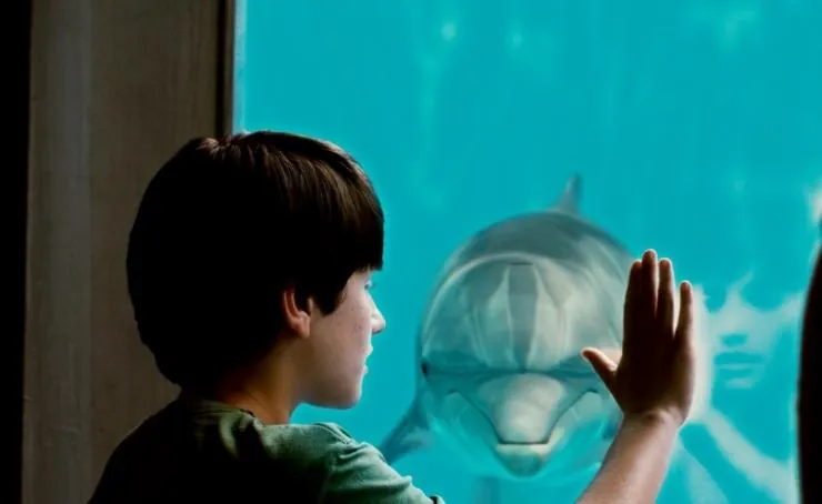 История дельфина (2011) скачать торрент файл История дельфина (2011) фильм скачать торрент файл