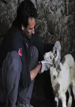 Четырежды (2010) в хорошем качестве скачать торрент файл Четырежды (2010) фильм в хорошем качестве скачать торрент файл