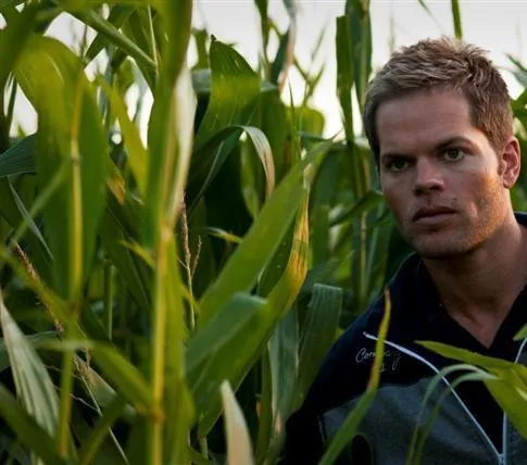 Шелуха (2010) в хорошем качестве скачать торрент файл Шелуха (2010) фильм в хорошем качестве скачать торрент файл