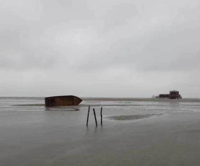 Чрево (2010) скачать торрент файл Чрево (2010) фильм скачать торрент файл