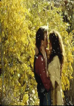 Танцующий с волками (1990) в хорошем качестве скачать торрент файл Танцующий с волками (1990) фильм в хорошем качестве скачать торрент файл