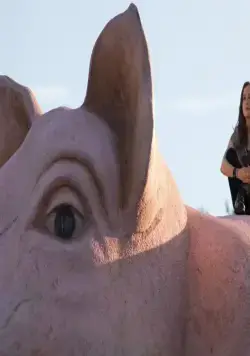 Катись! (2009) в хорошем качестве скачать торрент файл Катись! (2009) фильм в хорошем качестве скачать торрент файл