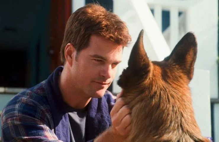 Кошки против собак: Месть Китти Галор (2010) в хорошем качестве скачать торрент файл Кошки против собак: Месть Китти Галор (2010) мультфильм в хорошем качестве скачать торрент файл