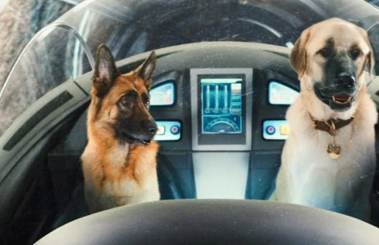 Кошки против собак: Месть Китти Галор (2010) скачать торрент бесплатно Кошки против собак: Месть Китти Галор (2010) мультфильм скачать торрент бесплатно