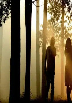 Норвежский лес (2010) скачать торрент файл Норвежский лес (2010) фильм скачать торрент файл