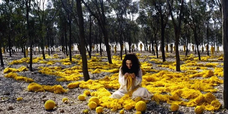 Женщины без мужчин (2009) скачать торрент файл Женщины без мужчин (2009) фильм скачать торрент файл