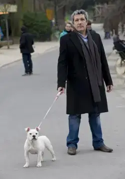 Трезор (2009) скачать торрент файл Трезор (2009) фильм скачать торрент файл