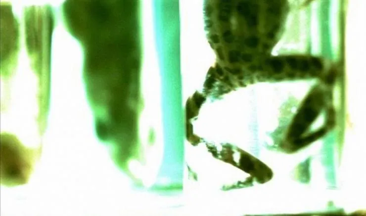 Коллекционер (2009) скачать торрент бесплатно Коллекционер (2009) фильм скачать торрент бесплатно