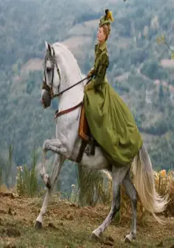 Принцесса де Монпансье (2010) скачать торрент бесплатно Принцесса де Монпансье (2010) фильм скачать торрент бесплатно