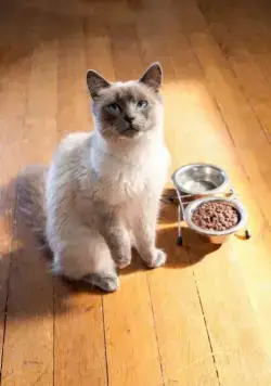 Мармадюк (2010) скачать торрент файл Мармадюк (2010) фильм скачать торрент файл