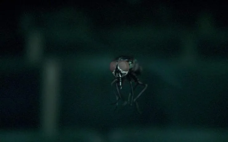 Эндорфин (2015) скачать торрент файл Эндорфин (2015) фильм скачать торрент файл