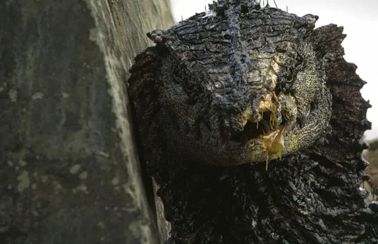 Ракка (2017) 1 сезон 1-1 серия скачать торрент файл Ракка (2017) фильм 1-1 серию 1 сезона скачать торрент файл