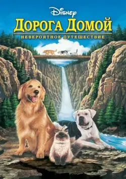 Дорога домой: Невероятное путешествие / Homeward Bound: The Incredible Journey (1993) фильм скачать через торрет бесплатно в хорошем качестве