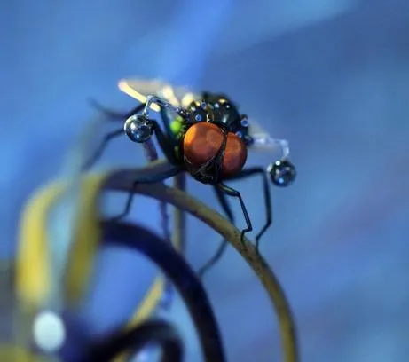 Миссия Дарвина (2009) скачать торрент бесплатно Миссия Дарвина (2009) мультфильм скачать торрент бесплатно