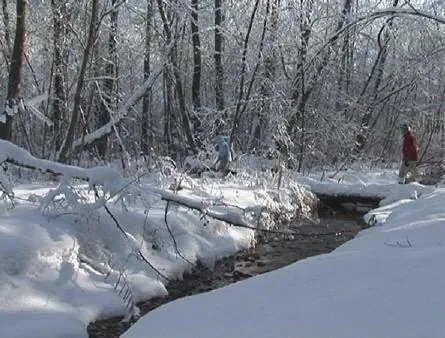 Век глупцов (2009) в хорошем качестве скачать торрент файл Век глупцов (2009) фильм в хорошем качестве скачать торрент файл
