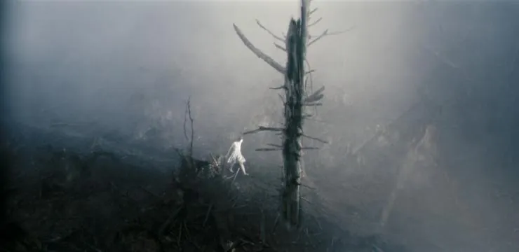 Антихрист (2009) скачать торрент бесплатно Антихрист (2009) фильм скачать торрент бесплатно