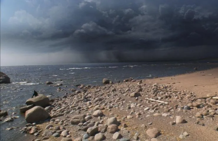 Тайны смерти (2009) скачать торрент файл Тайны смерти (2009) фильм скачать торрент файл