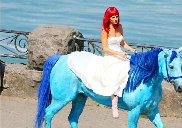 Медовый месяц Камиллы (2007) в хорошем качестве скачать торрент файл Медовый месяц Камиллы (2007) фильм в хорошем качестве скачать торрент файл