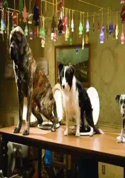 Отель для собак (2008) скачать торрент файл Отель для собак (2008) фильм скачать торрент файл