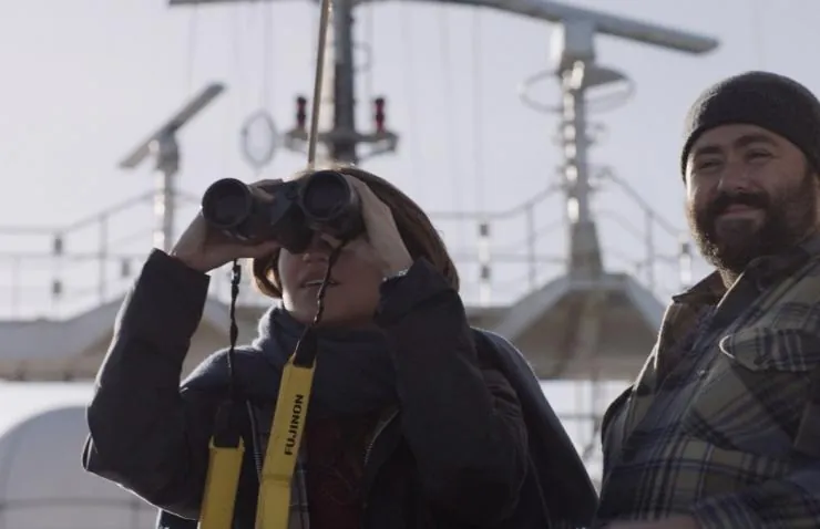 Погружение (2017) в хорошем качестве скачать торрент файл Погружение (2017) фильм в хорошем качестве скачать торрент файл