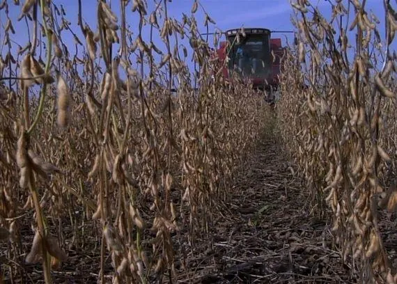 Корпорация «Еда» (2008) скачать торрент бесплатно Корпорация «Еда» (2008) фильм скачать торрент бесплатно