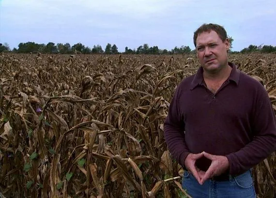 Корпорация «Еда» (2008) в хорошем качестве скачать торрент файл Корпорация «Еда» (2008) фильм в хорошем качестве скачать торрент файл