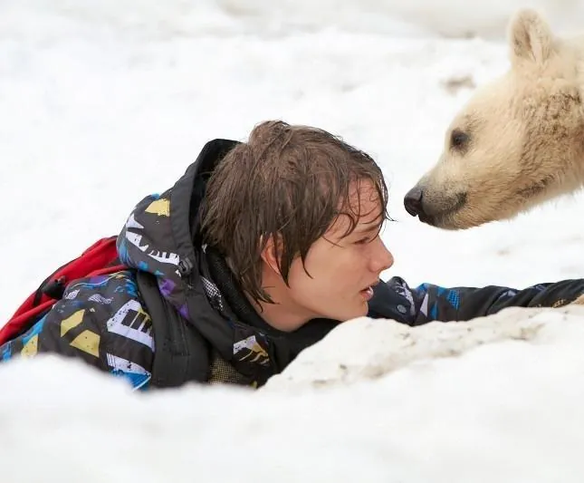 Полуночное солнце (2014) скачать торрент файл Полуночное солнце (2014) фильм скачать торрент файл