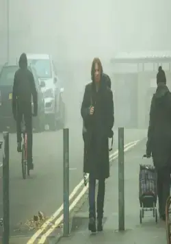 Уличный кот по кличке Боб (2016) скачать торрент бесплатно Уличный кот по кличке Боб (2016) фильм скачать торрент бесплатно