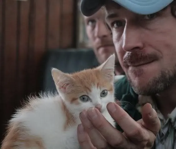 Трикл Мл. (2010) скачать торрент файл Трикл Мл. (2010) фильм скачать торрент файл