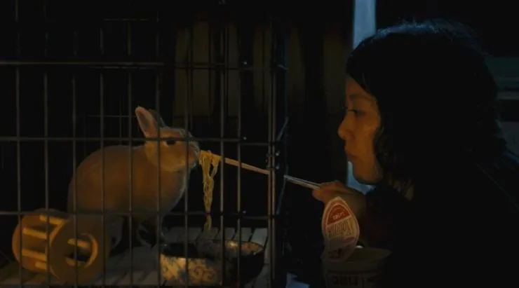 Кумико – охотница за сокровищами (2014) в хорошем качестве скачать торрент файл Кумико – охотница за сокровищами (2014) фильм в хорошем качестве скачать торрент файл