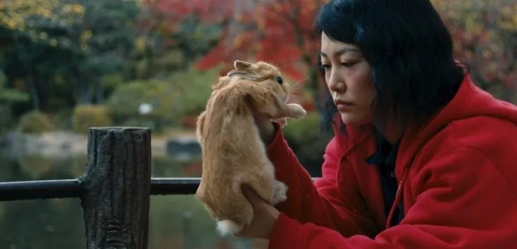 Кумико – охотница за сокровищами (2014) скачать торрент файл Кумико – охотница за сокровищами (2014) фильм скачать торрент файл