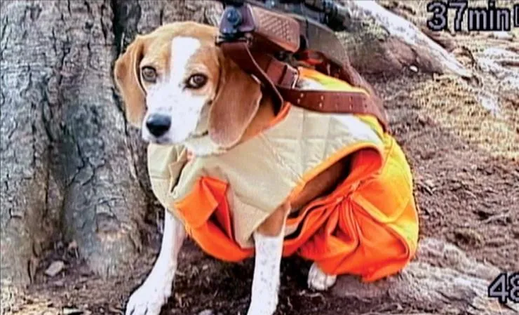 Боулинг для Колумбины (2002) скачать торрент бесплатно Боулинг для Колумбины (2002) фильм скачать торрент бесплатно